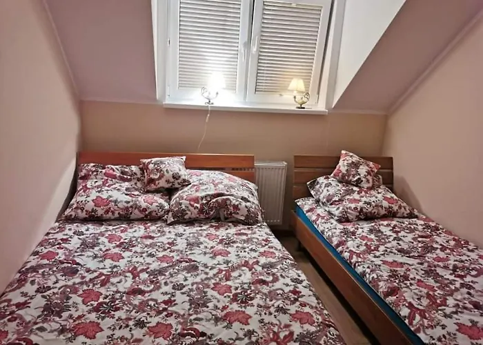 U Wieska アパート Żuromin